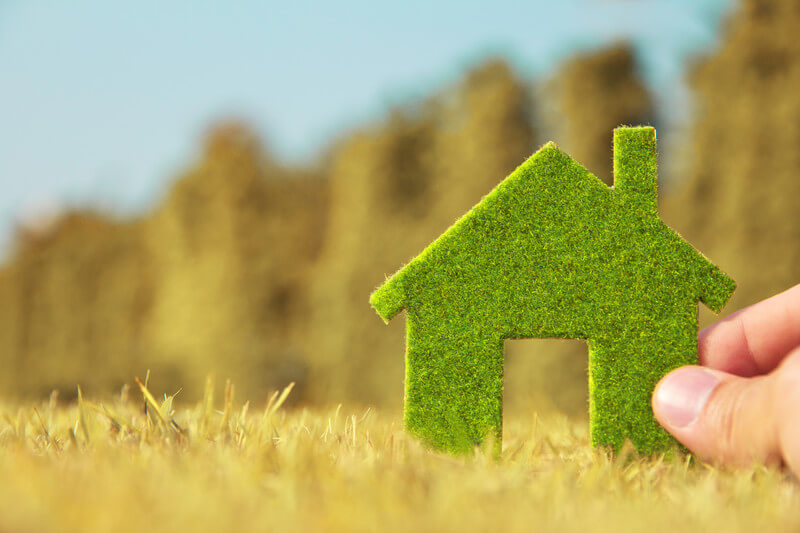 Check Out These Green Living Websites For St. Louis Residents