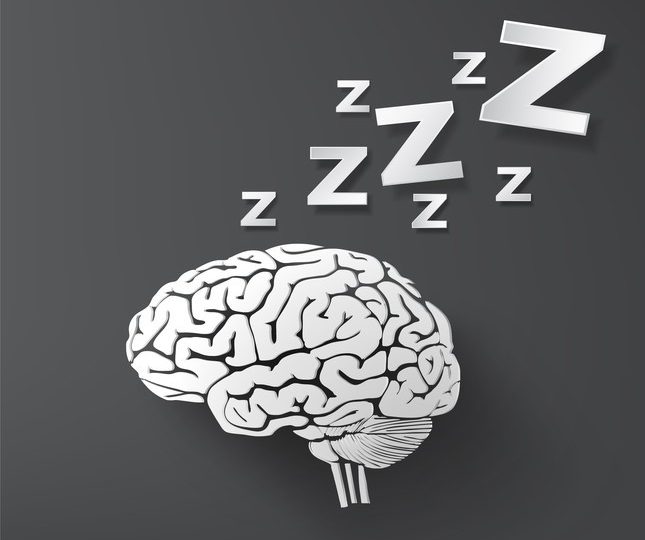 Sleep Myth Debunked: Does Your Brain Shut Down When You Sleep?